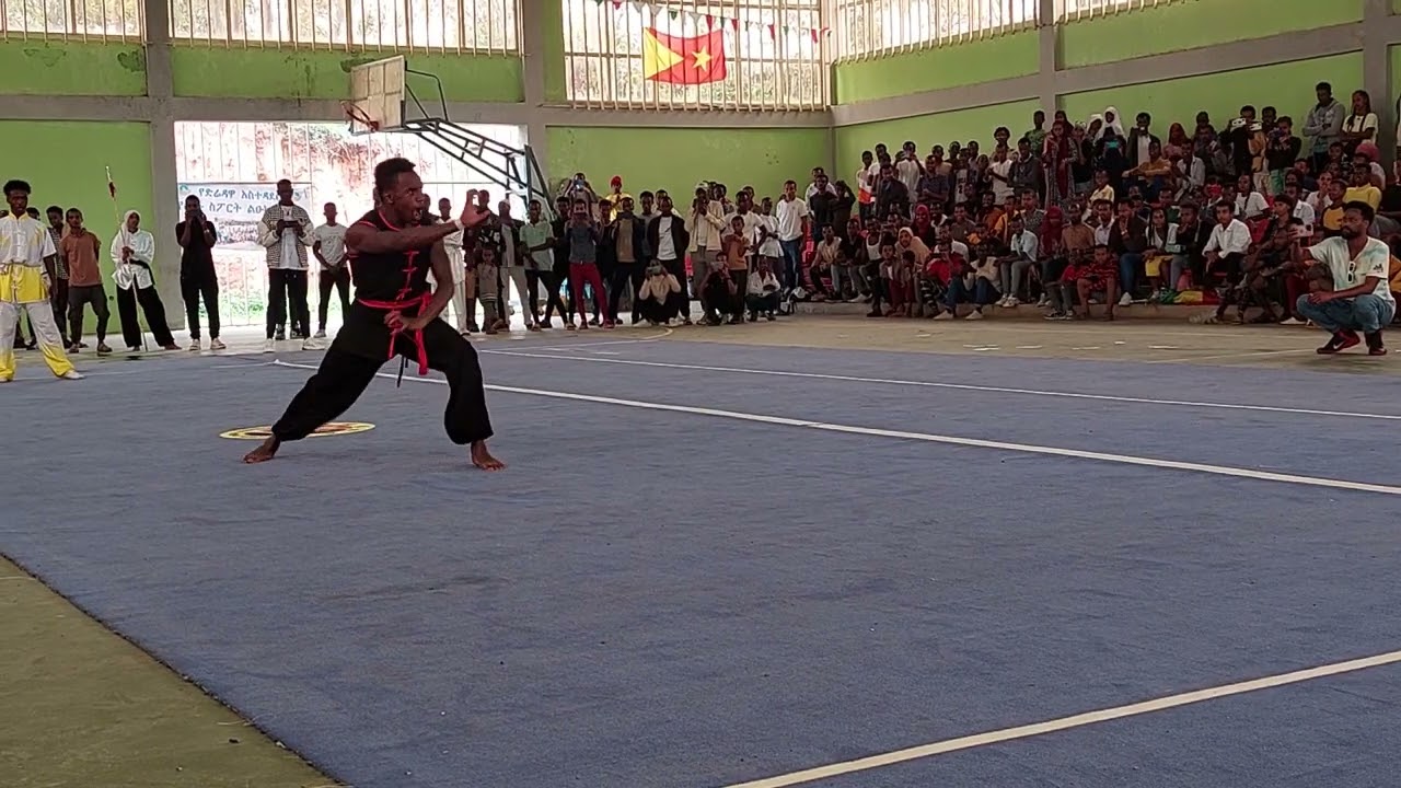 Ethiopian wushu federation