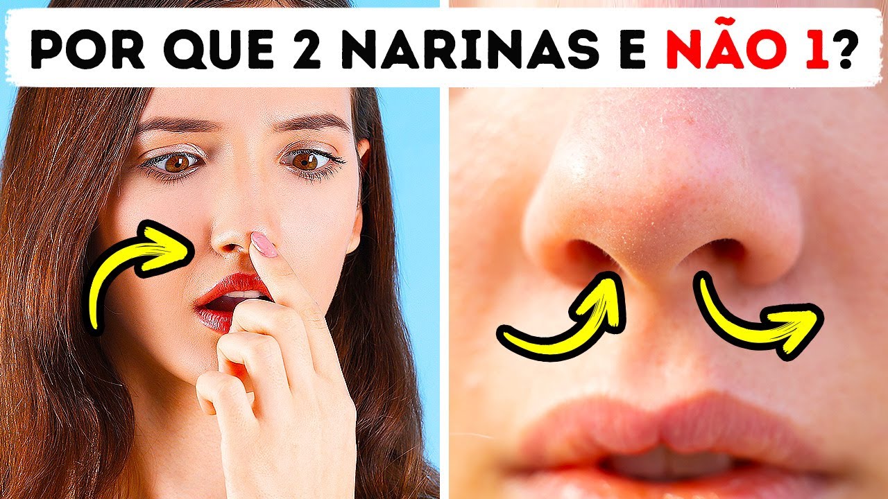 Por Que Temos Duas Narinas se Só Usamos Uma