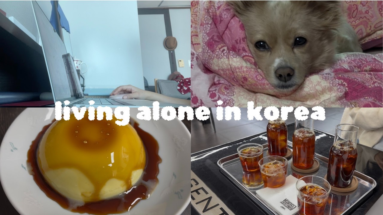 본가 내려온 백수 2주차의 일상 | 무인양품 푸딩 만들기 · 여행계획 · 공부