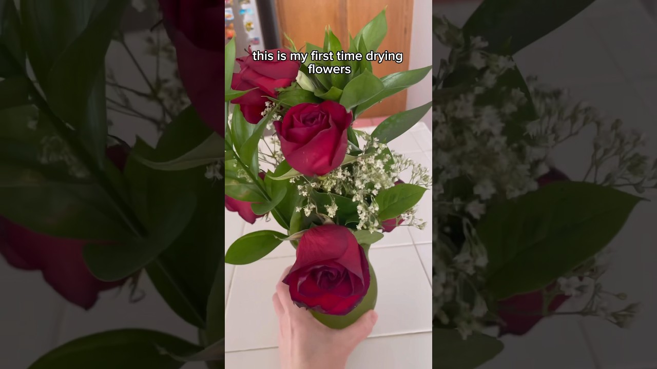 Как сушить цветы 🥀 #каксушитьцветы #сушкацветов #шорты #чтоделатьсующимицветами #умирающиецветы