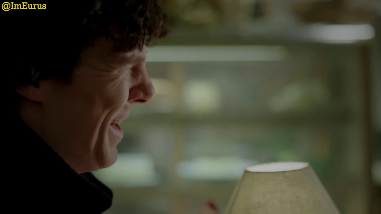 Sherlock - So just your brother, Molly Hooper and a hundred tramps?