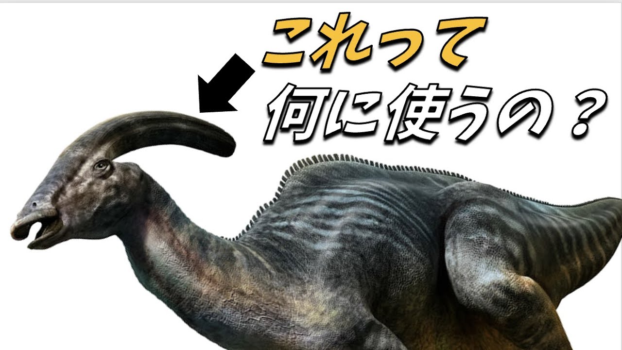 パラサウロロフスは、頭の後ろについているトサカで何をしたの？