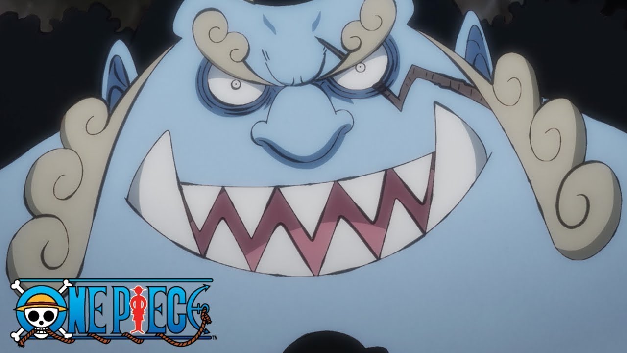 One Piece | عودة فارس البحر جينبي