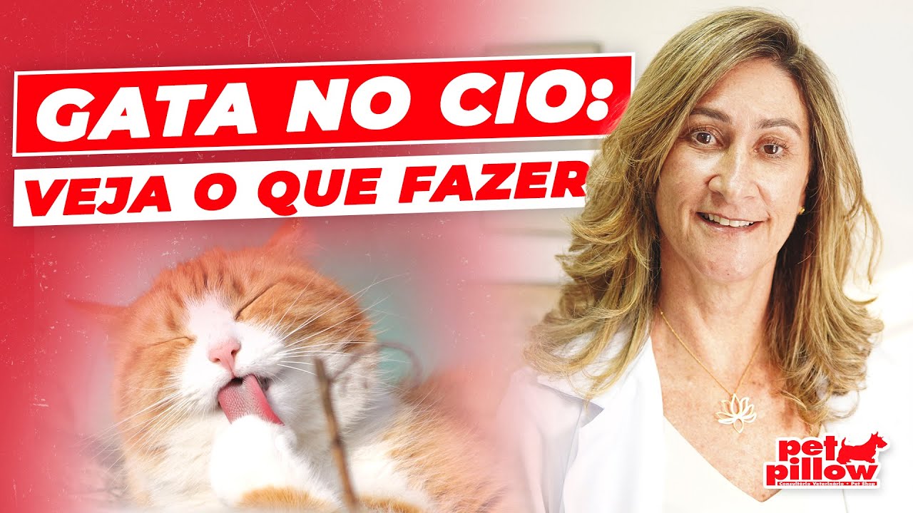 Quanto tempo dura o cio das gatas e o que fazer? | Dra. Michele Sandrault