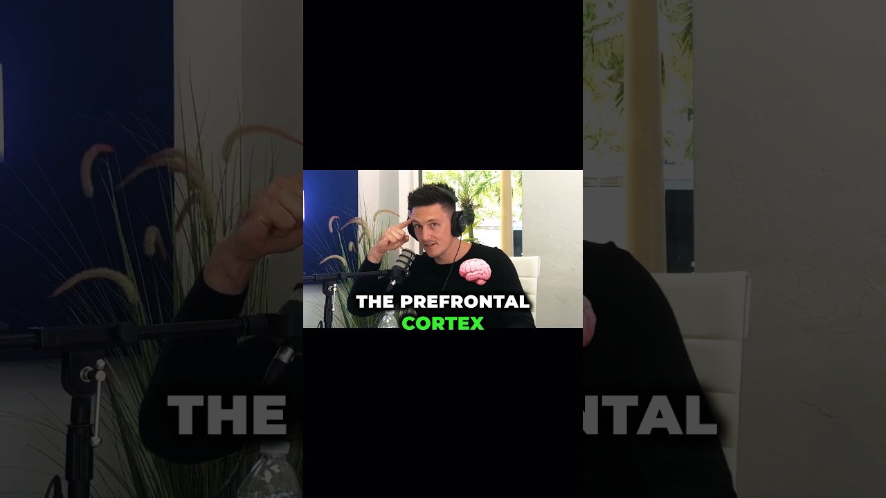 Talking about how addiction mimics the midlife crisis with @allieseverino