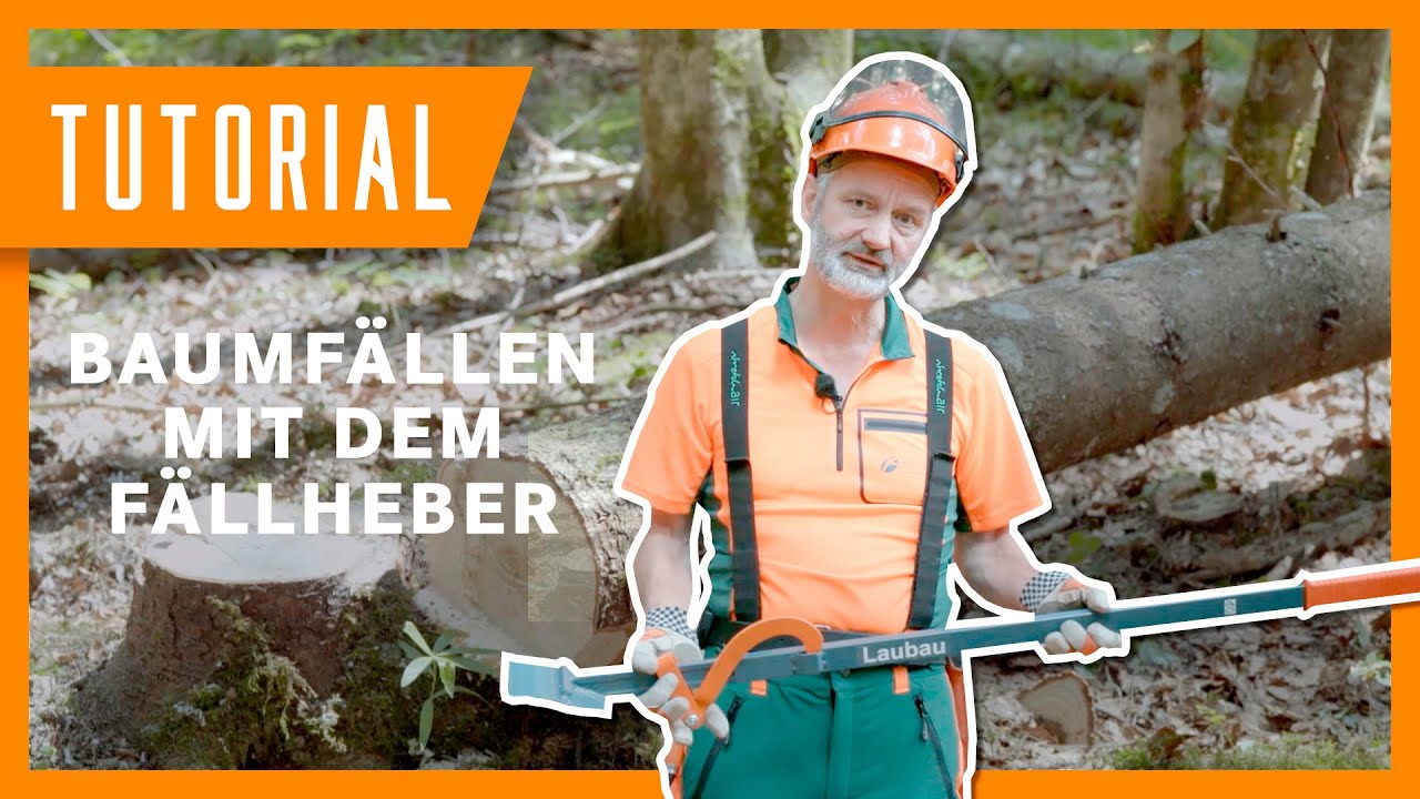 Schwachholz fällen mit dem Fällheber I #Holzernte Tutorial der Bayerischen Staatsforsten