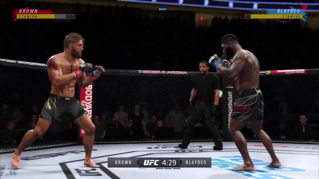 UFC HEAVY WEIGHT TITLE MATCH