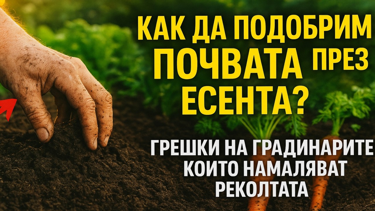 Как да подобрим почвата през есента? 🌱 Грешки на градинарите, които намаляват реколтата.
