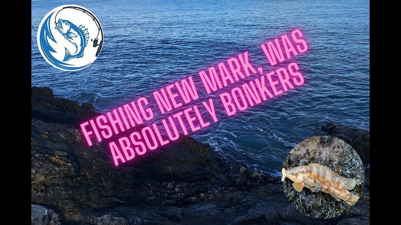 NEW MARK, SO MANY FISH!!!!#anglesey #seafishinguk #livingmybestlife