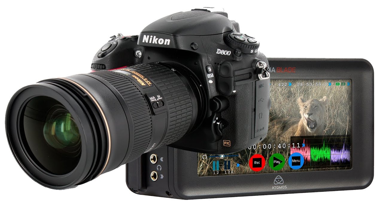Nikon D800 + Atomos Ninja , Pro Res HQ Codec , 4.2.2 Colour space
