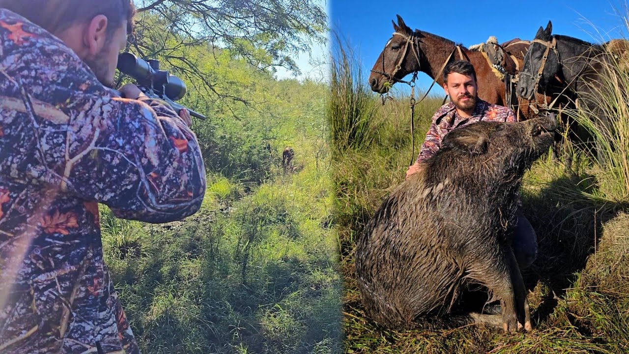 CACERIA DE CHANCHOS CON RIFLE DE AIRE 🐗🐖, y aventura por Corrientes 🐷