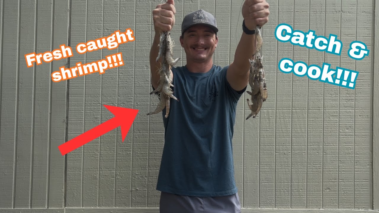 Is This The BEST Way To Catch Shrimp!?!?(Catch & Cook!!)