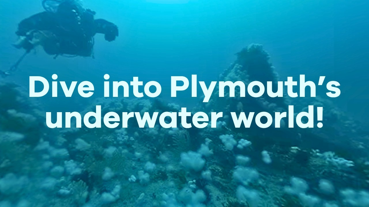 Plymouth Sound National Marine Park 360 VR experience