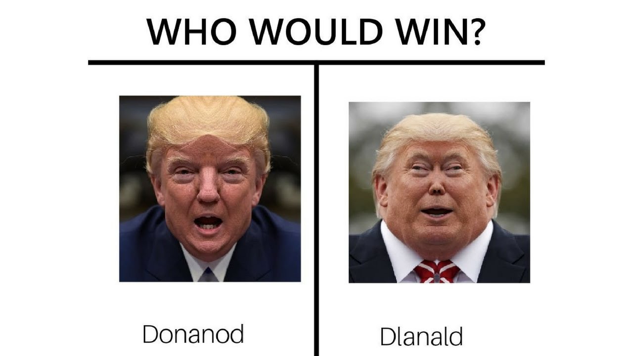 Best of r/dankmemes
