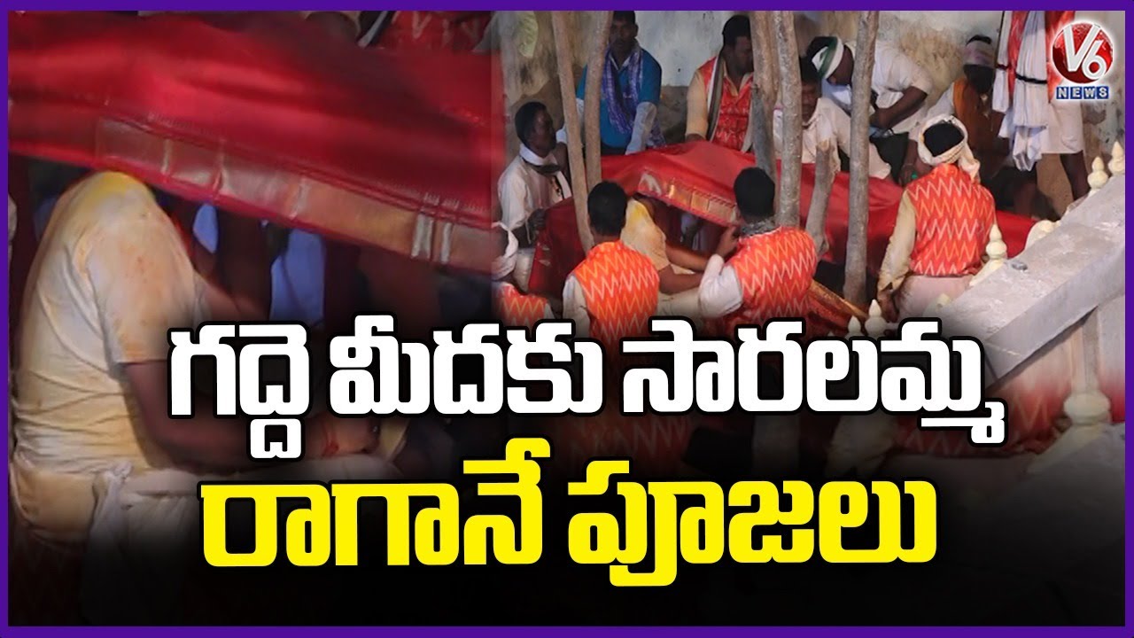 Medaram Poojarlu Offer Prayers After Saralamma Reach Medaram Gaddlu  |V6 News