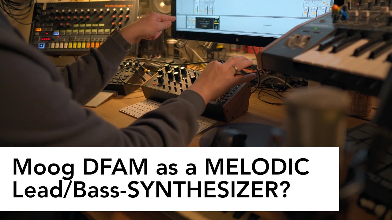 Moog DFAM как мелодический соло/бас-синтезатор?