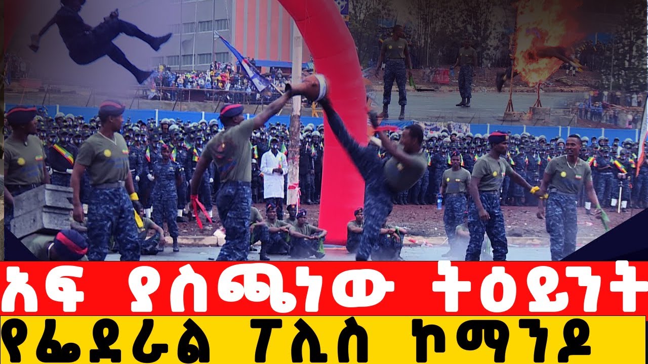 የፌዴራል ፖሊስ 