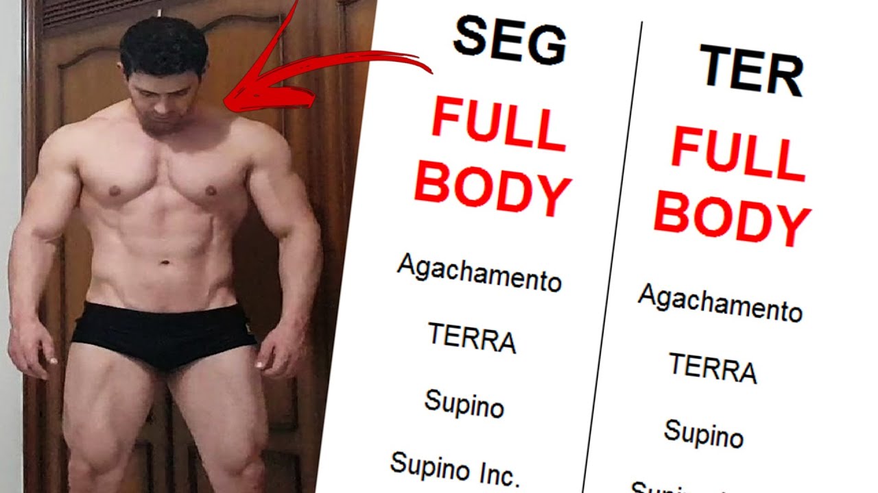 DIVISÃO DE TREINO FULL BODY - TREINAR O CORPO INTEIRO DE UMA VEZ