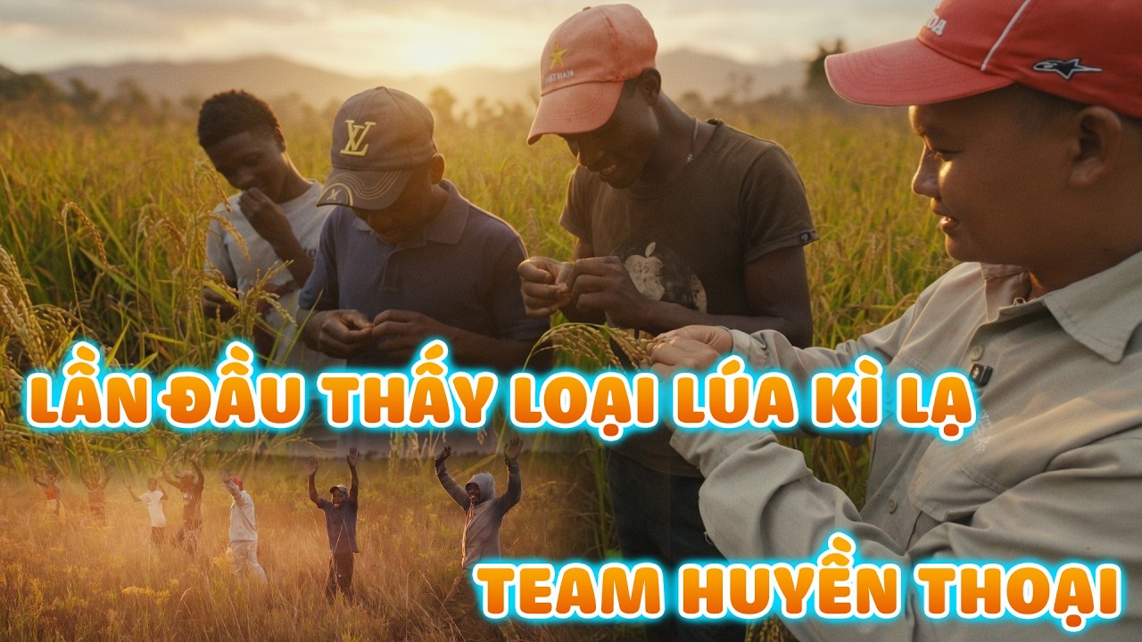 Đ&igrave;nh Thế Vlogs || Team Huyền Thoại V&agrave;o Quang Linh Farm Chuẩn Bị Dự &Aacute;n MỚi.