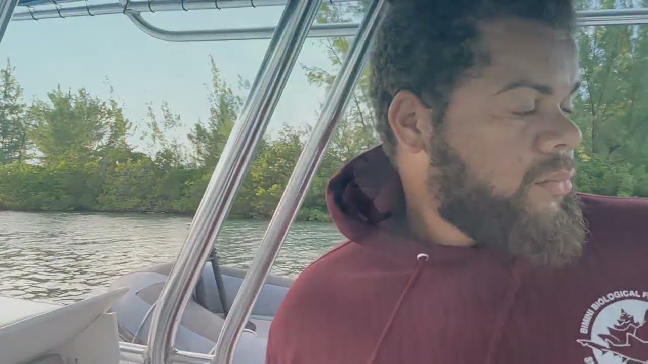 Shark Lab Diaries: Episode Two 