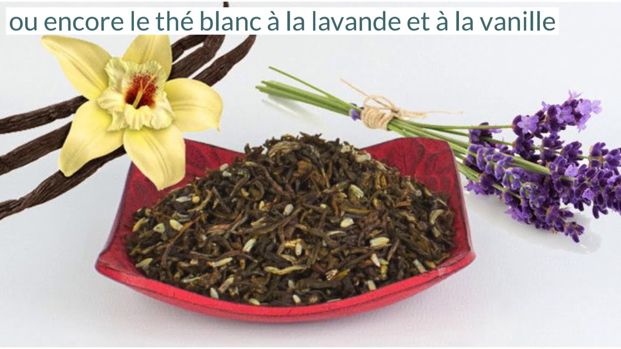 Les secrets du thé blanc