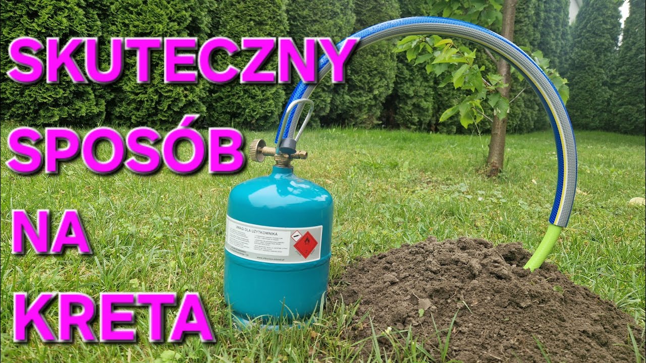 Skuteczny Sposób Na KRETY ➡️ Kretolap Target ➡️ Jak Rozłożyć