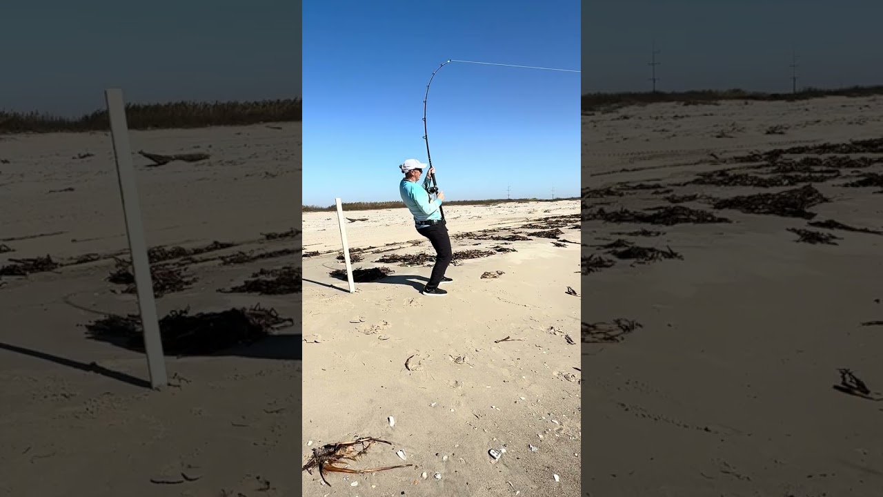 40 inch Red Fish on the SharkLeash
