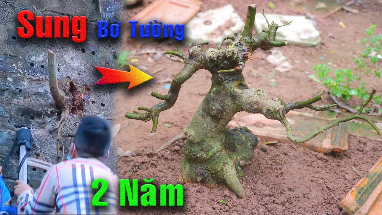 Vác Thang lấy Cây Sung bờ Tường sau hơn 2 năm ngỡ ngàng không nhận ra em nó luôn