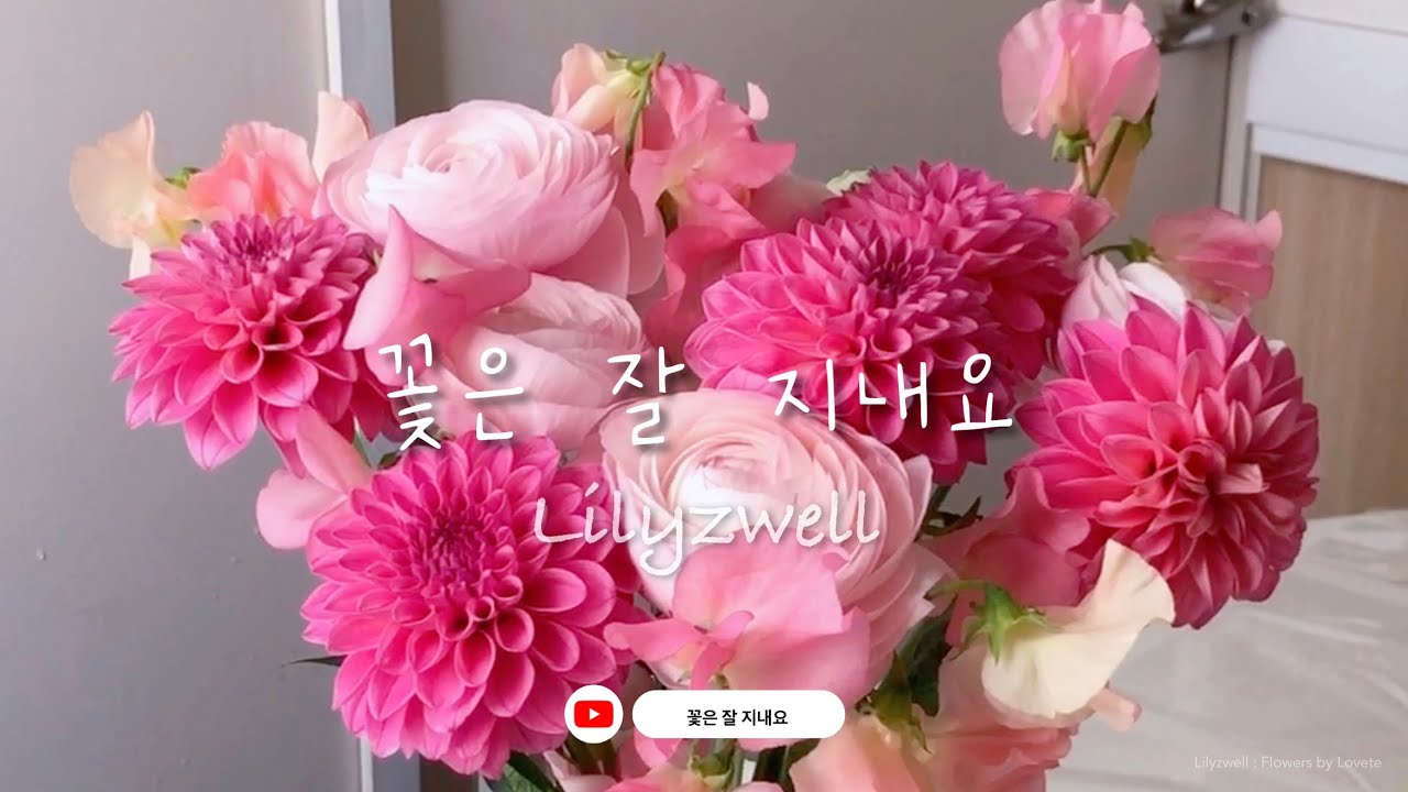 엔프피 플로리스트 일상 | 원데이 힐링 클래스 출강, 봄 꽃다발 그리고 고양이