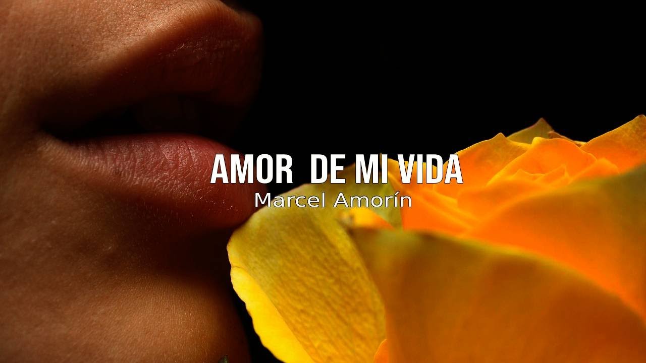 Te Amo y Nunca Te Fallaré ¦ frases y pensamientos románticos