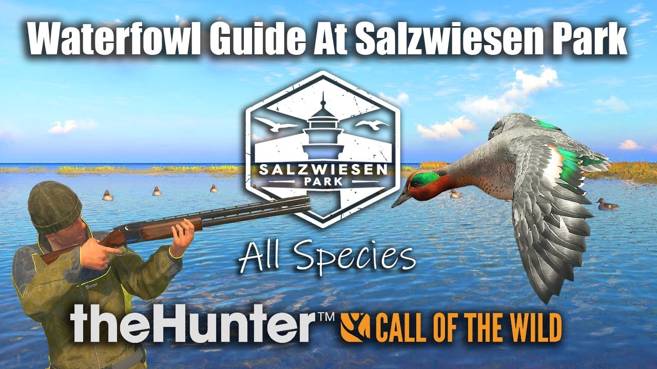Waterfowl Guide For All Species At Salzwiesen Park - theHunter Call Of The Wild.