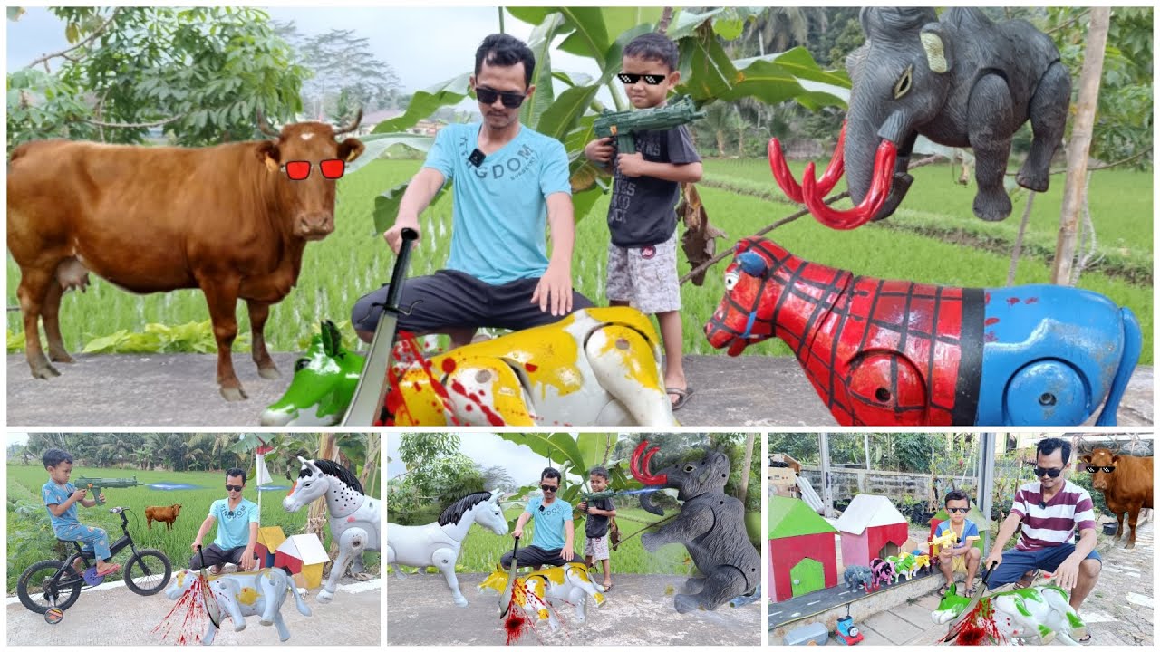 WOW 5 EPISODE -  EDISI WADIDAU ‼️PROSES POTONG SAPI MOO KURBAN