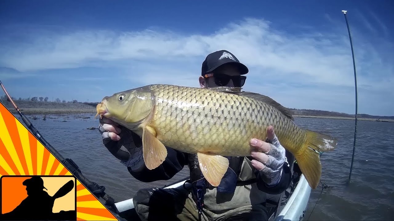 Kayak Carp Fishing