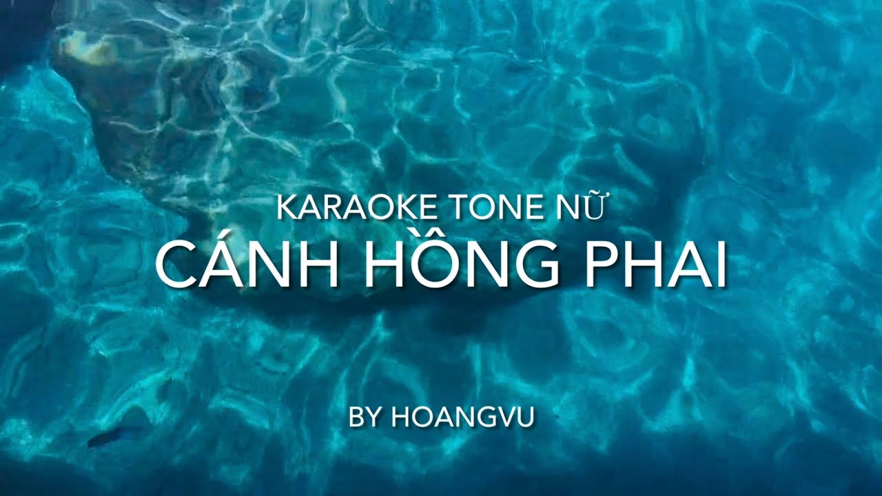 Cánh Hồng Phai - Dương Khắc Linh - Karaoke Tone Nữ - By Hoangvu 