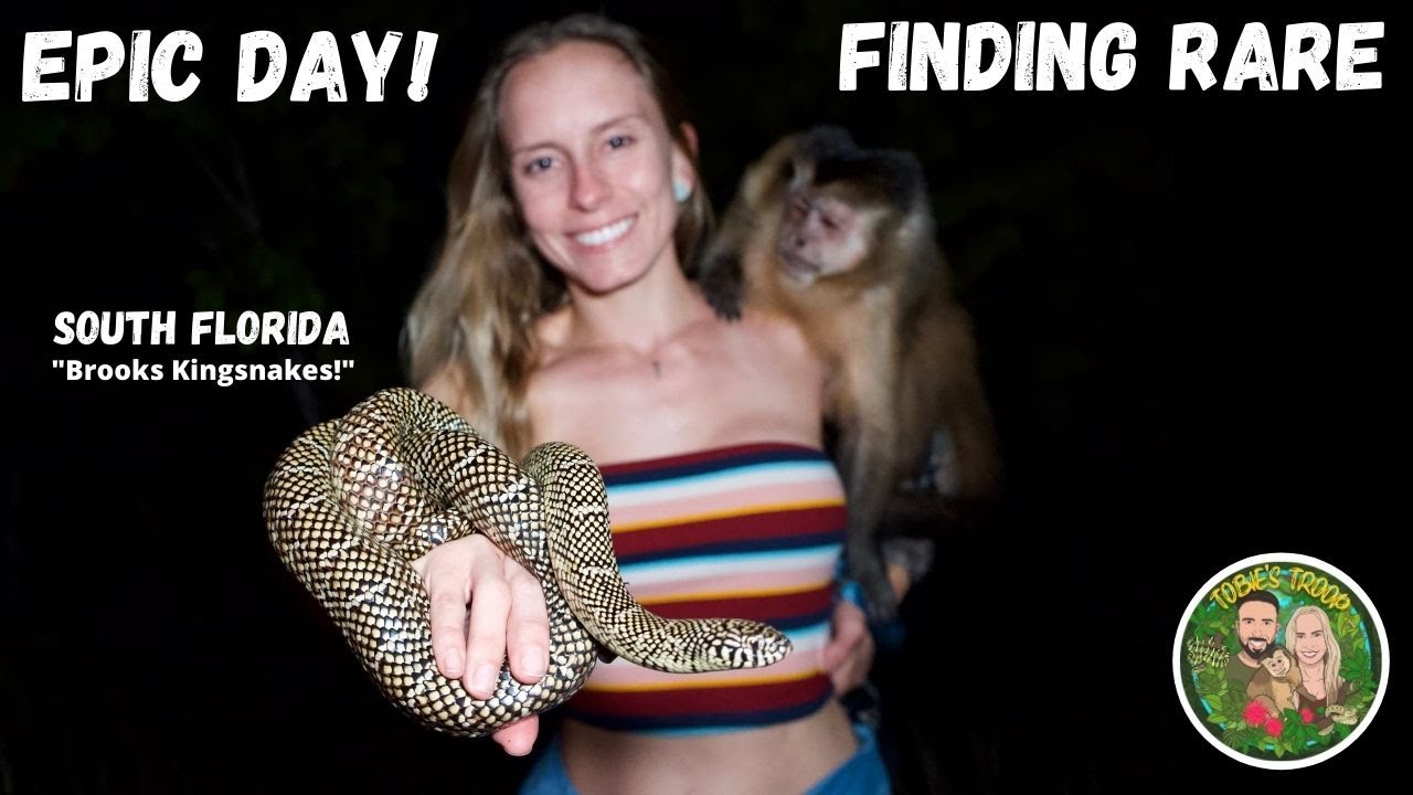 Epic Day Finding RARE 