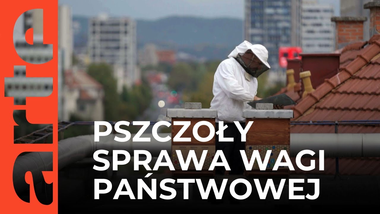 Słowenia walczy o swoje pszczoły | ARTE.tv Dokumenty