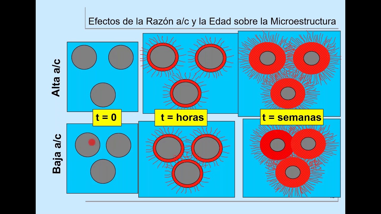 2º Curso| Curar o no curar
