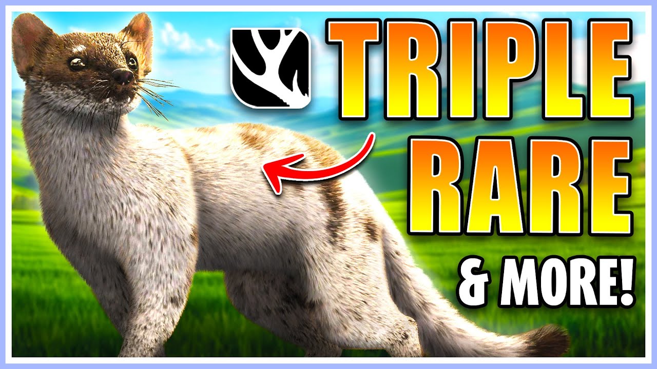 I Hunted MANY Rares and MORE on Scotland Multiplayer!! | theHunter Call of the Wild