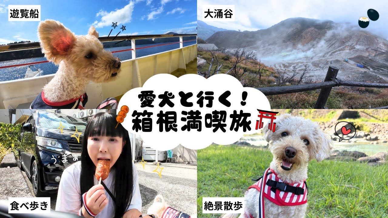 【犬連れ箱根旅】ワンコも乗れる遊覧船！湯本食べ歩き＆大涌谷も満喫🐾