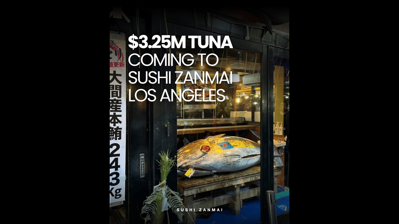 Where did the $3.2 million Tuna came from??