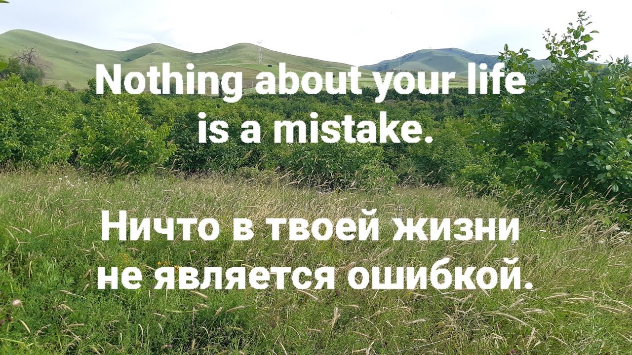 Вы не совершали ошибок. 🕊 Разбор фразы 
