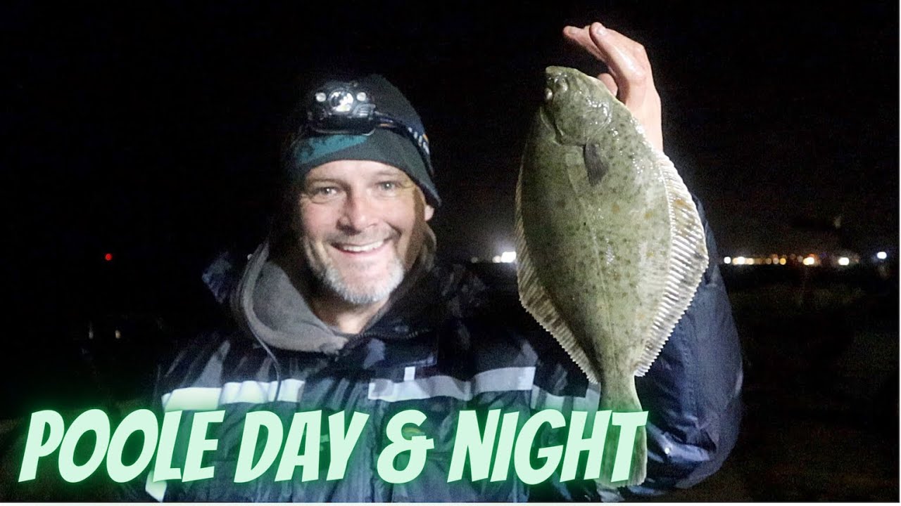 Beach fishing - Poole Harbour - flounder
