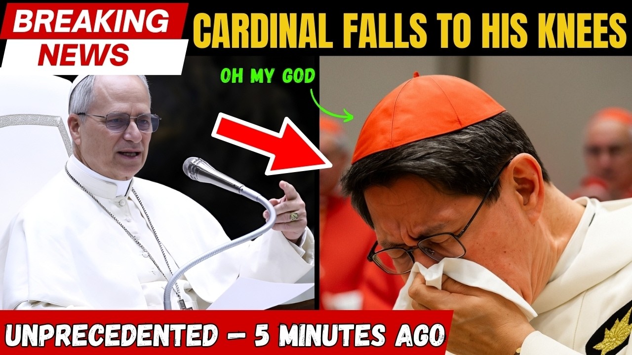 🚨URGENT: Pope Leo 14 gave a speech so DEEP it moved Cardinal Tagle to tears