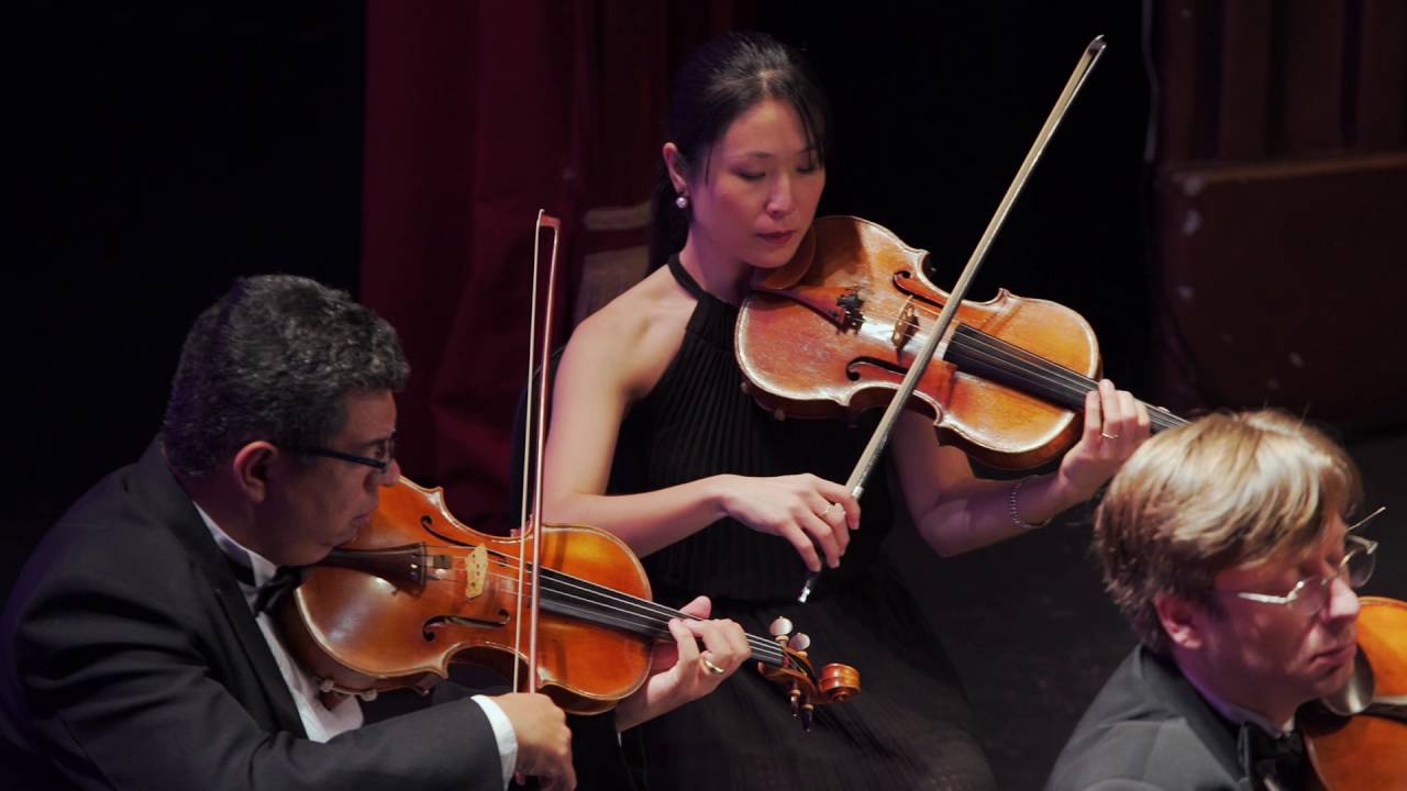 Antonio Meneses * Concerto nº1 de Joseph Haydn *Concertos Gols pela Vida