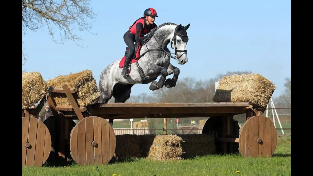 Eventing Etten-Leur Z paarden 2025