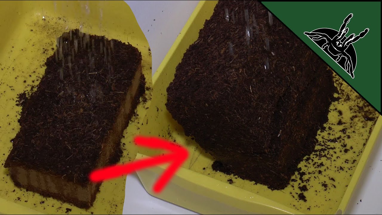 How to rehydrate a coco fiber brick (expanding dry coco coir block)