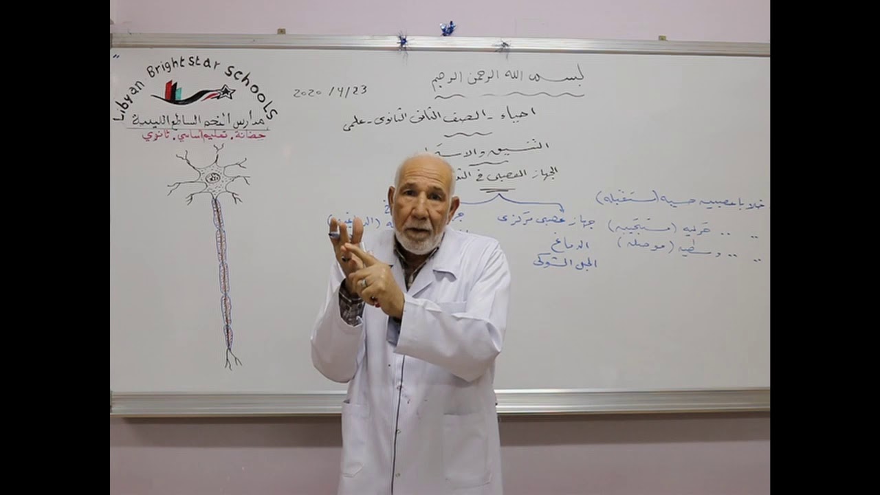 مادة الأحياء للصف الثاني الثانوي العلمي/   التنسيق والأستجابة  -  الجهاز العصبي في الثدييات