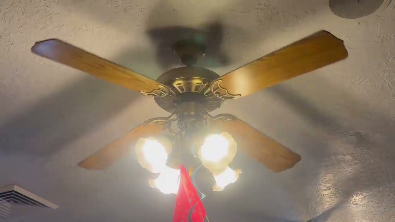 Ceiling fans at Armentas