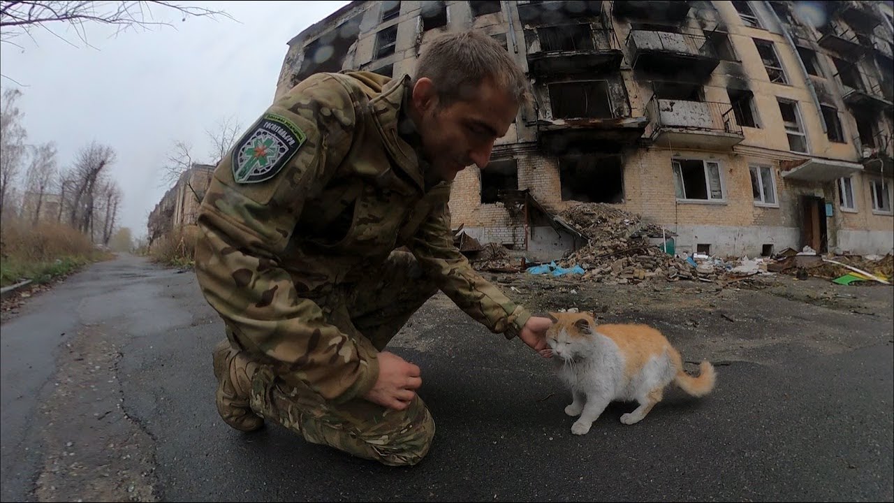 Brandon Mitchell: Canadian risking life to save Ukrainians | @ukraine_tbic