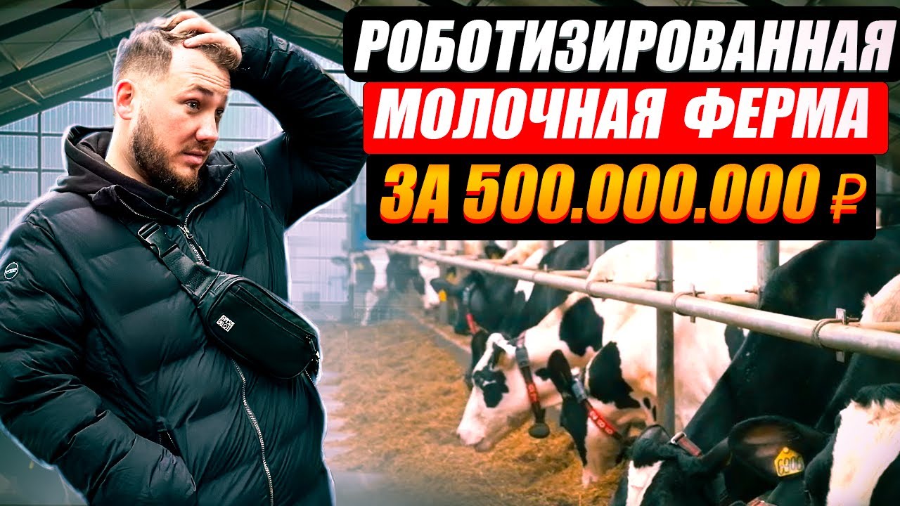Молочная ферма как бизнес. Агрокомплекс с роботами. Животноводство / Антон Пермяков